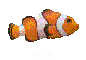 AGB